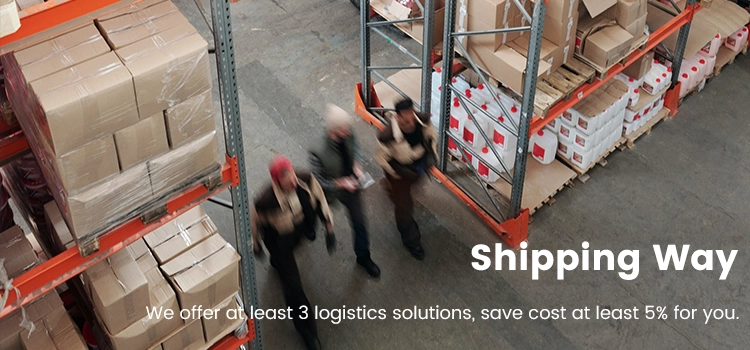 sunny worldwide logistics